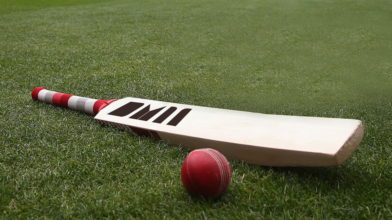 Beyond the Bat:  Essential Maintenance Tips for a Winning Edge